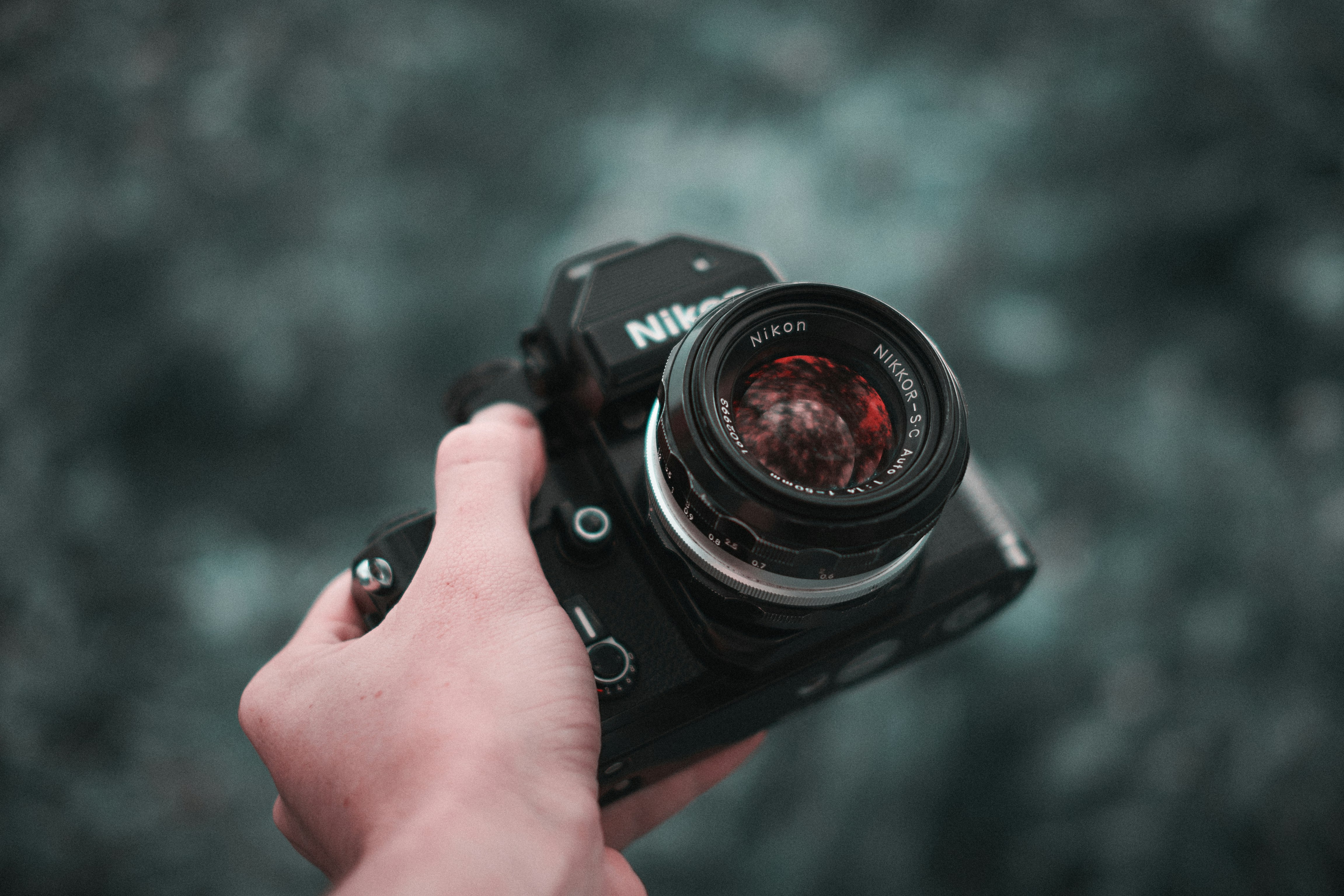 person holding black Nikon DSLR camera